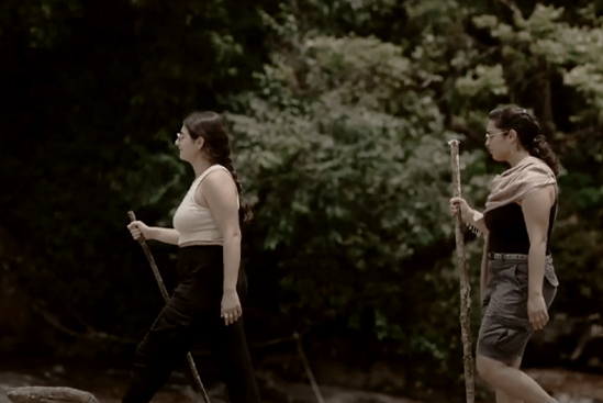 Forest Trekking