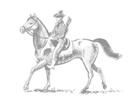 Horse Ride