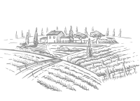 Tea Plantation Visit vector