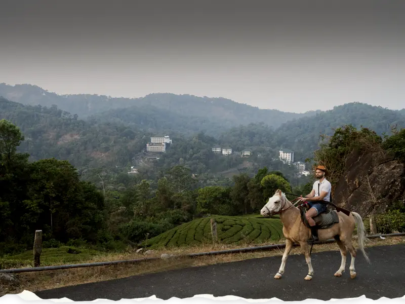 Top best Resort in Munnar